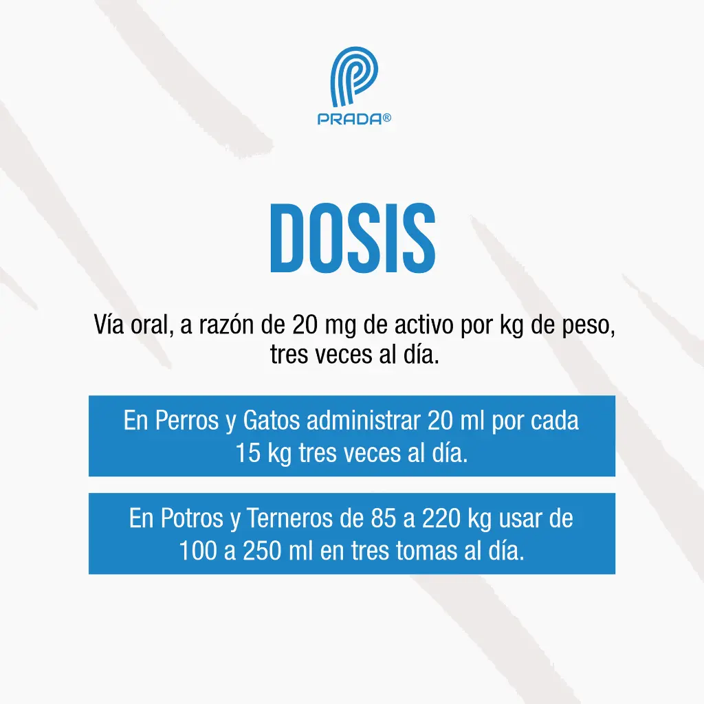BISMO_PET_1LT_03.webp