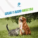 BISMO_PET_1LT_05.webp