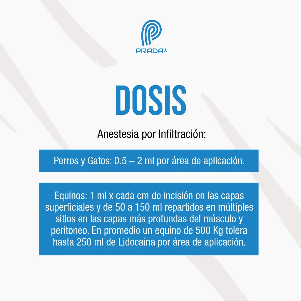 LIDOCAINA_50ML_03.webp