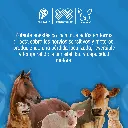 RONCAINA_50ML_01.webp