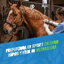 DEXTROSA_50%_04.webp