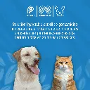 GENTANOVA_INY_20ML_01.webp