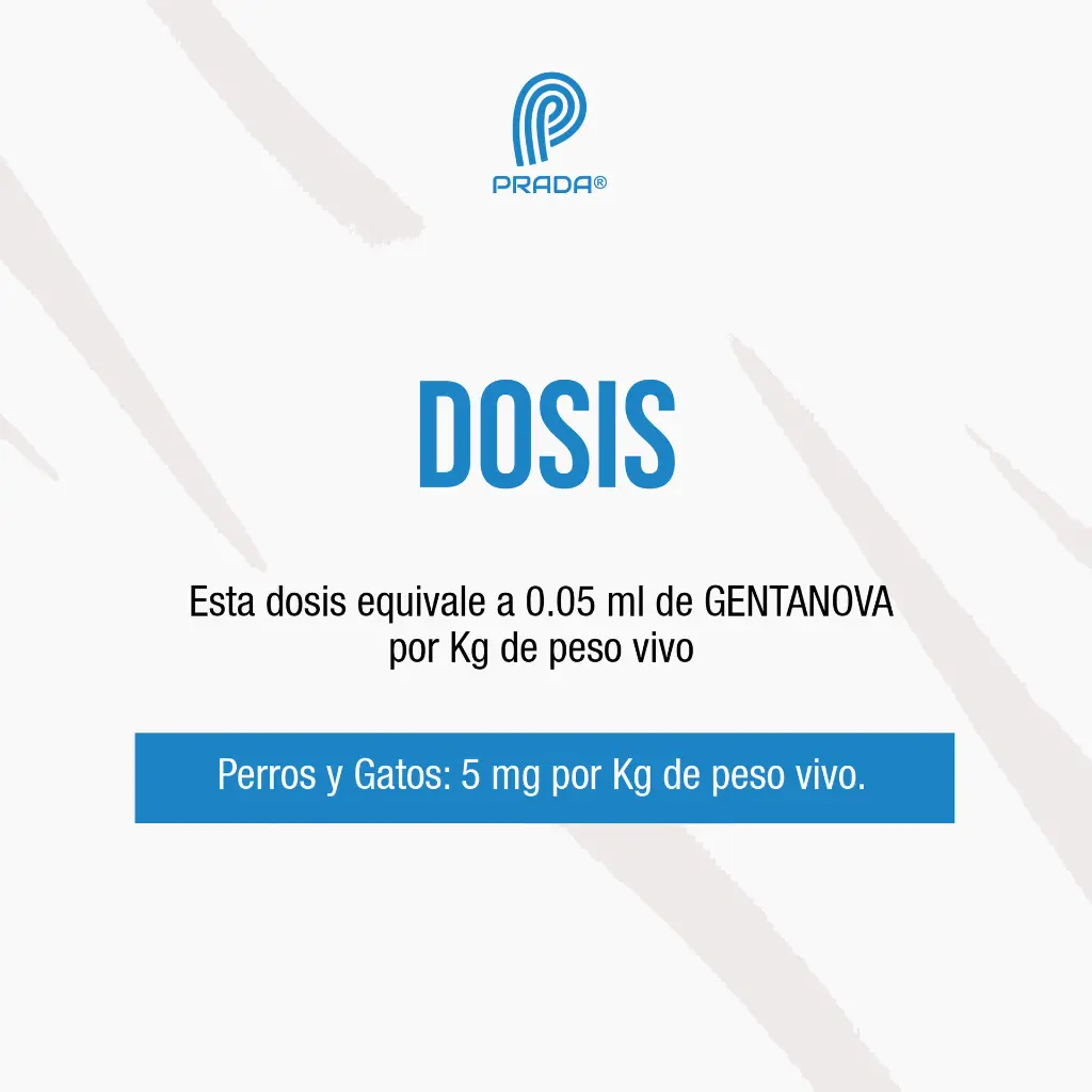 GENTANOVA_INY_20ML_03.webp