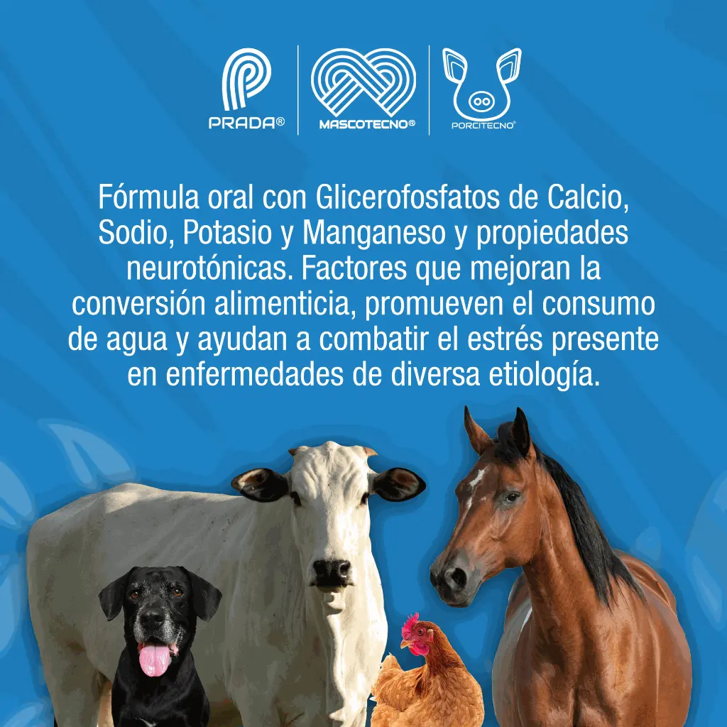 COMPLELAND_100ML_01.webp