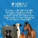 COMPLELAND_100ML_01.webp