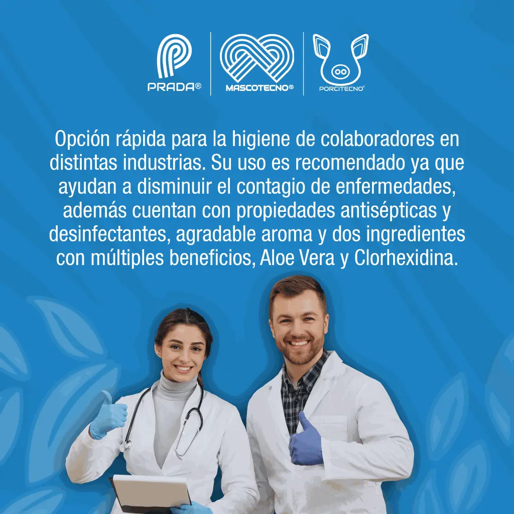 TOALLAS_HUMEDAS_BASICDIN_01.webp