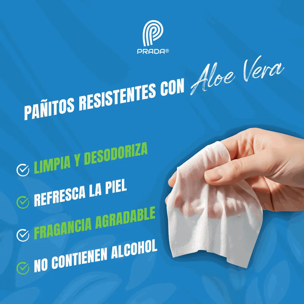 TOALLAS_HUMEDAS_BASICDIN_04.webp