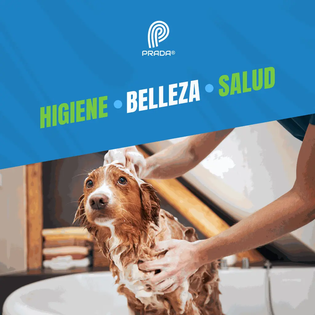 SHAMPOO_BOLFO_100ML_05.webp