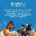 OXITETRACICLINA_500ML_01.webp