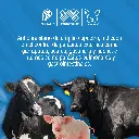 IVERMECTINA_1%_50ML_01.webp