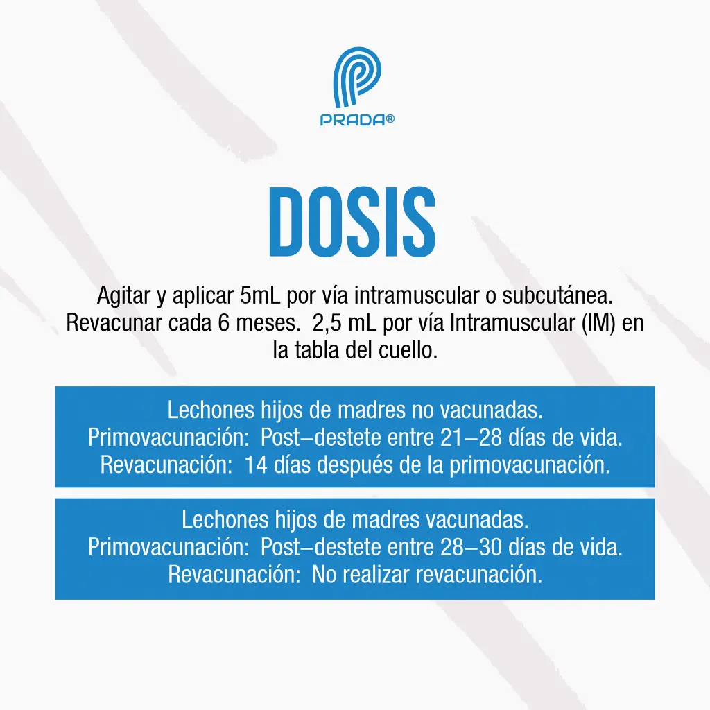 VACUNA_ESTOMATITIS_100ML_03.webp