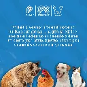 ENROVIAR_10ML_01.webp