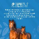 GESTAVEC_25_10ML_01.webp