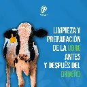 VASO_SELLADOR_PEZONES_03.webp