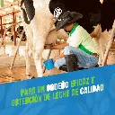 VASO_SELLADOR_PEZONES_04.webp