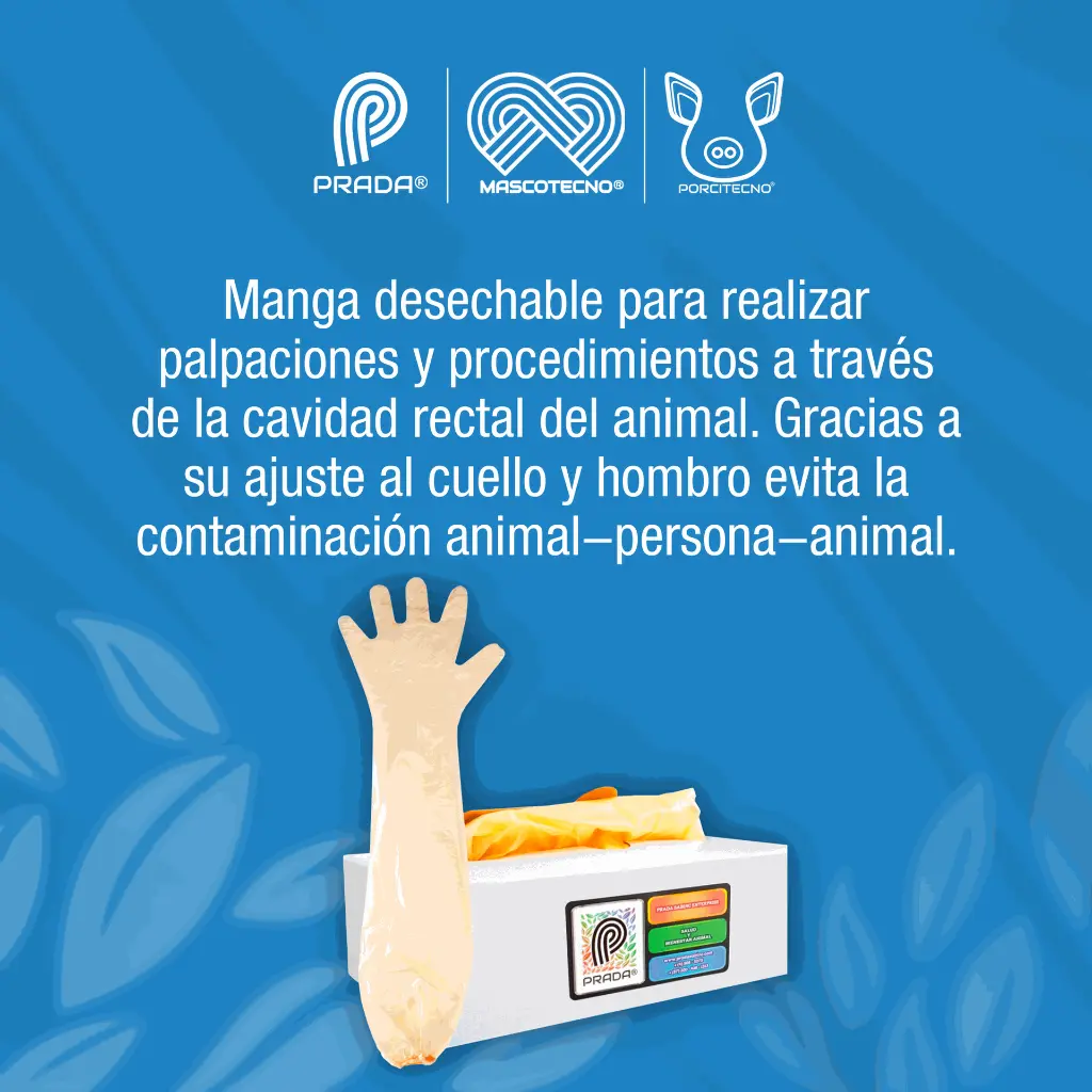 MANGA_PALPACION_50UND_01.webp