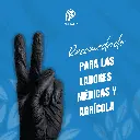 GUANTES_VINILO_NEGRO_M_100UND_04.webp