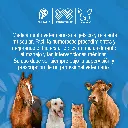XILACINA_10%_50ML_01.webp
