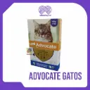 ADVOCATE GATOS 0.8 X 3 UND