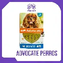 ADVOCATE PERROS 4-10 KG