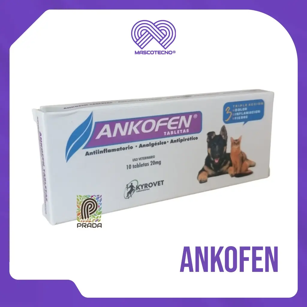 ANKOFEN 20MG TAB X 10 UND