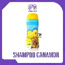 SHAMPOO  CANAMOR RINSE X 230ML