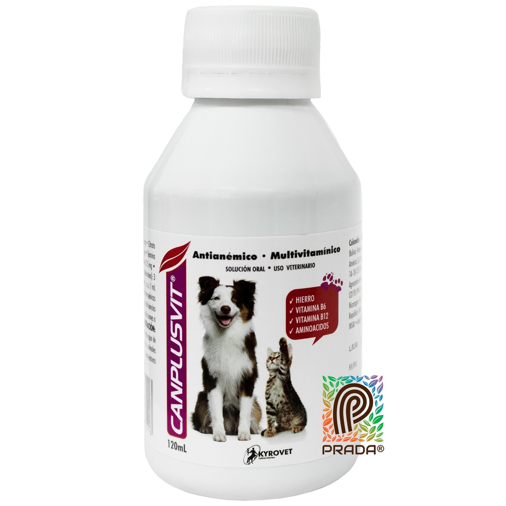CANPLUSVIT X 120 ML