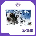 CAPSTAR 11,4 MG TAB X 6 UND