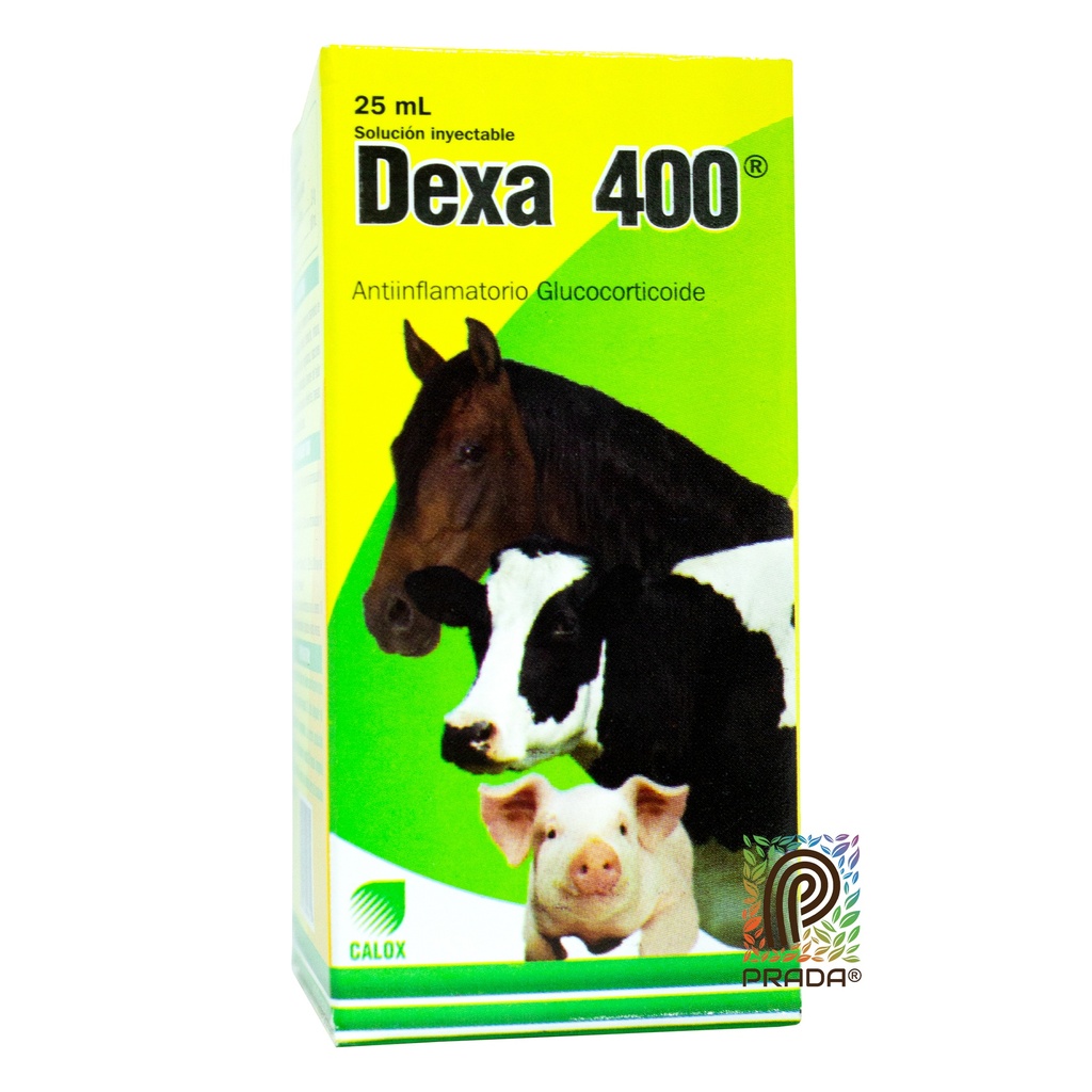 DEXA 400 INY X 25 ML