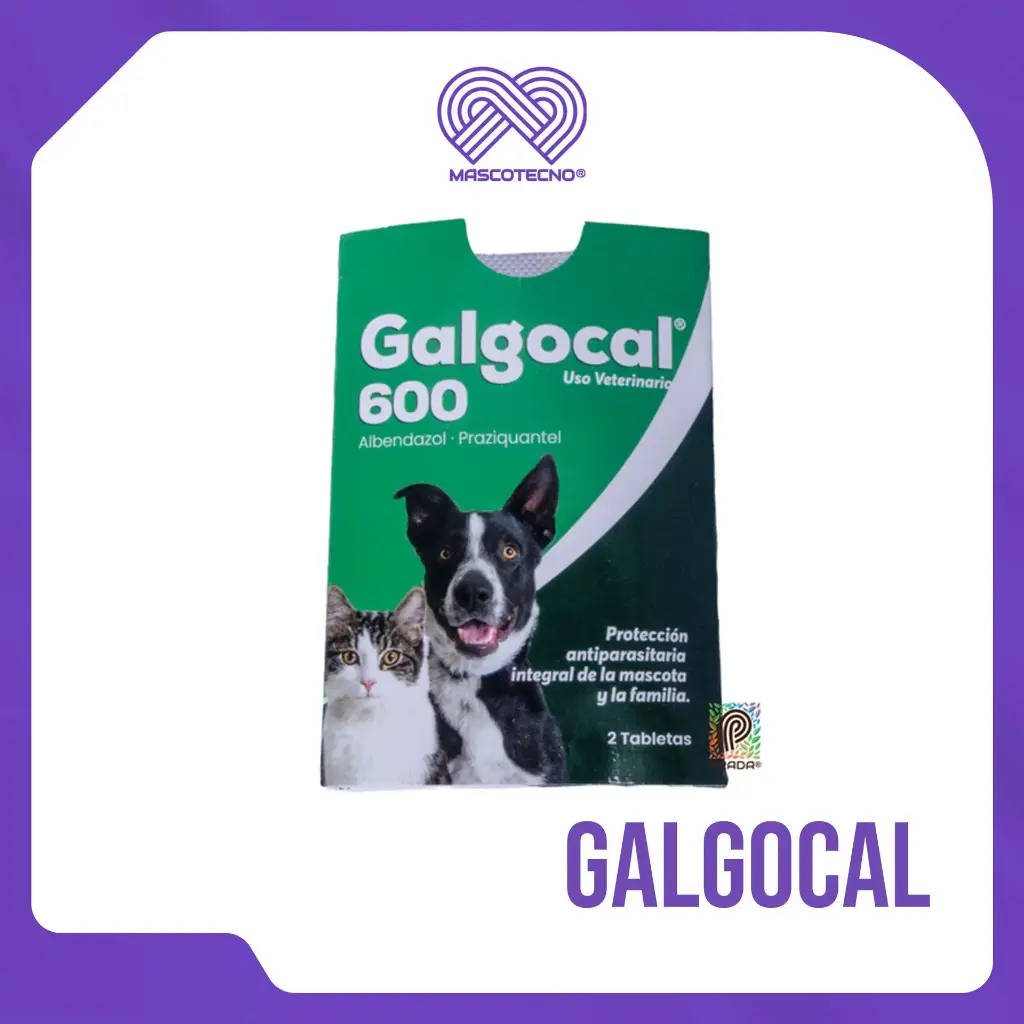 GALGOCAL 600 X 2 TABS