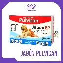 JABON PULVICAN X 90 GR
