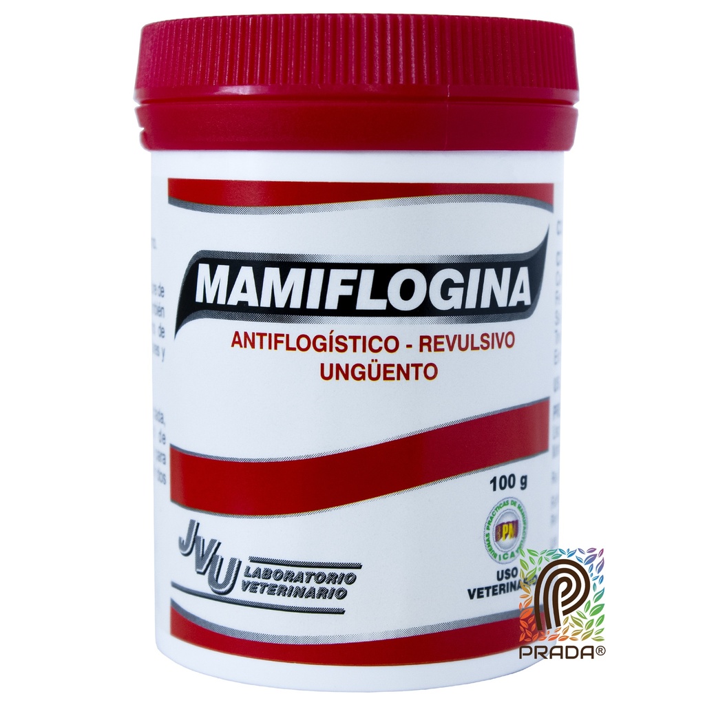 MAMIFLOGINA POMADA X 100 GR