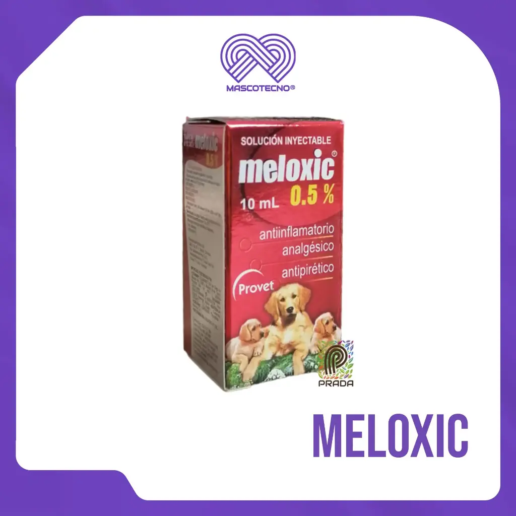 MELOXIC 0.5% INY X 10 ML