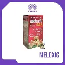 MELOXIC 0.5% INY X 10 ML