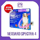 NEXGARD SPECTRA 4 (15-30 KG) (MORADO)