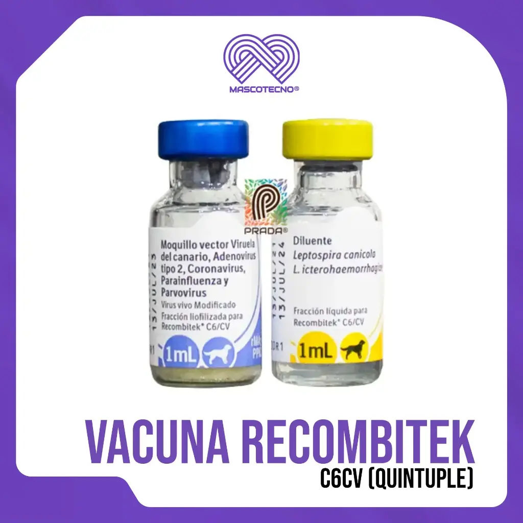 VACUNA RECOMBITEK C6CV (QUINTUPLE)