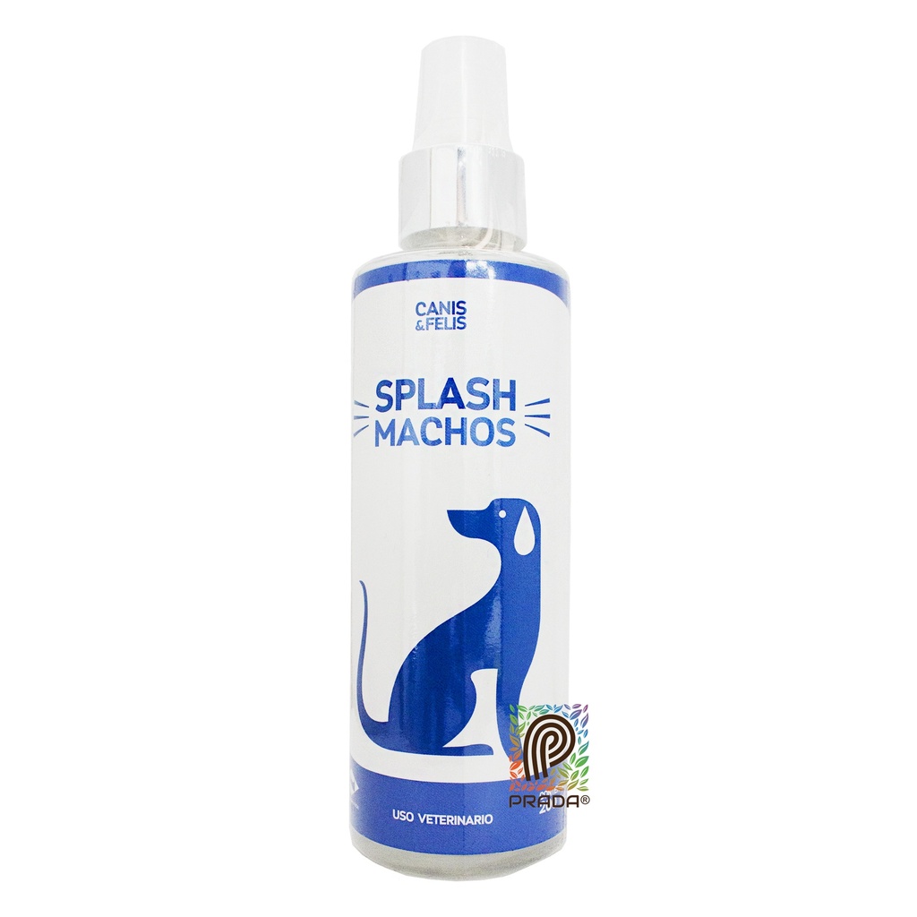 SPLASH MACHOS X 200 ML