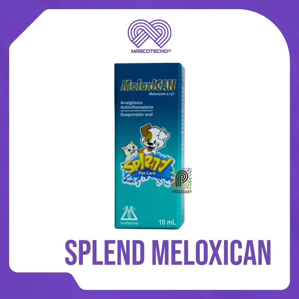 [7-0805-0953] SPLEND MELOXICAM X 10 ML [90309]