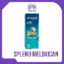 SPLEND MELOXICAN X 30 ML [90310]