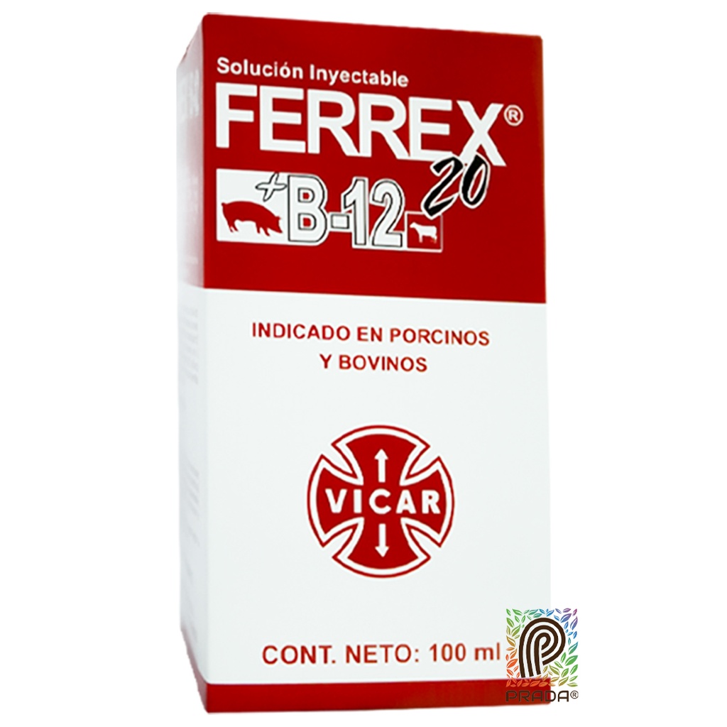FERREX B12 INY 200MG X 100 ML