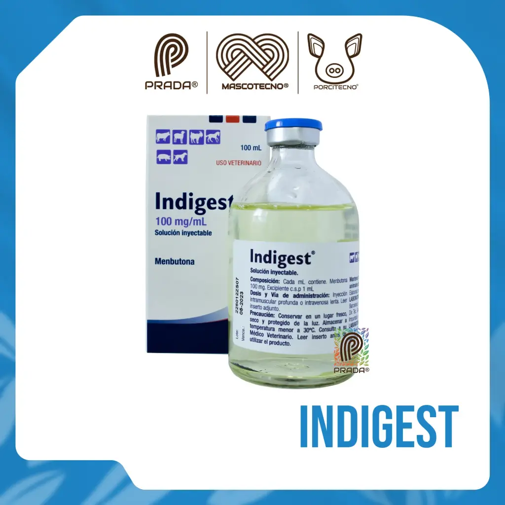 [7-0707-0627] INDIGEST INY X 100 ML {M}