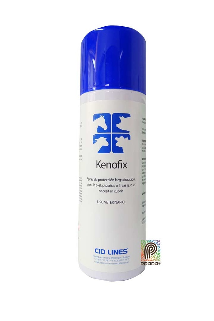 KENOFIX X 300 ML {M}