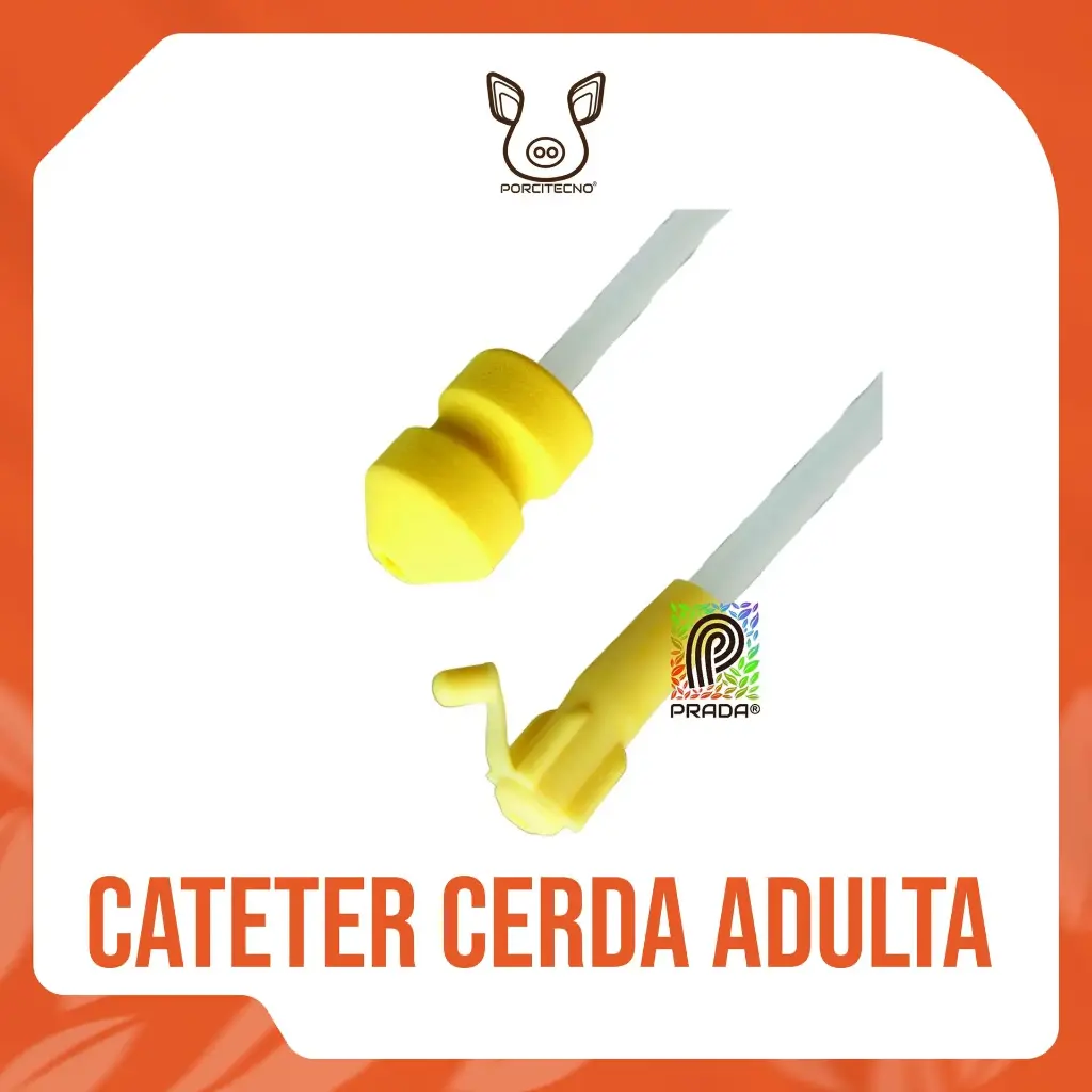 CATETER CERDA ADULTA (SOW) AMARILLO TIPO A