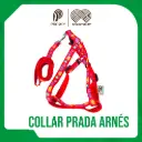 Collar con arnes en Nylon x  2.0 cm * 48"