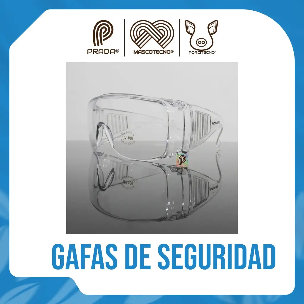Gafa de Seguridad WorkSeg V20CN Lente Claro