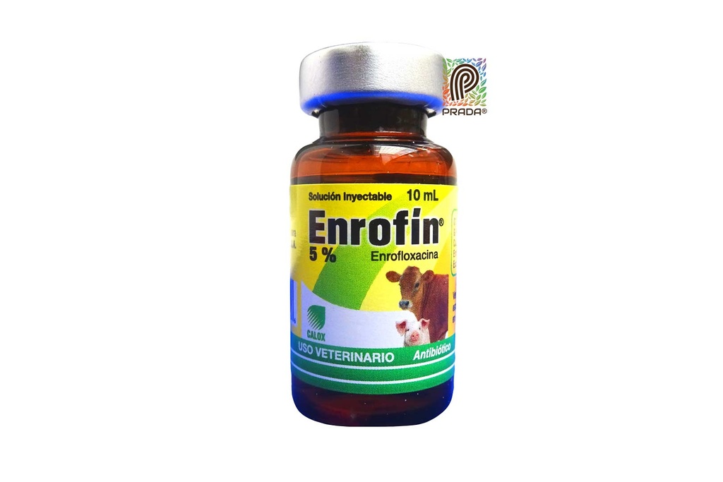 ENROFIN 5% INY X 10 ML