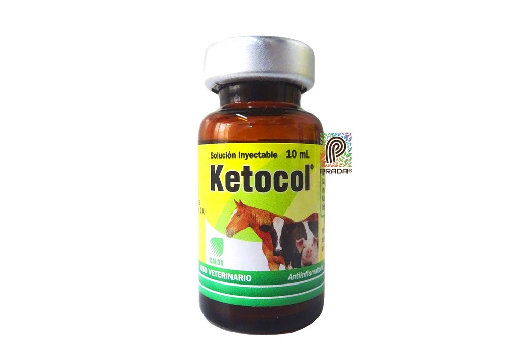 KETOCOL 10% INY X 10 ML