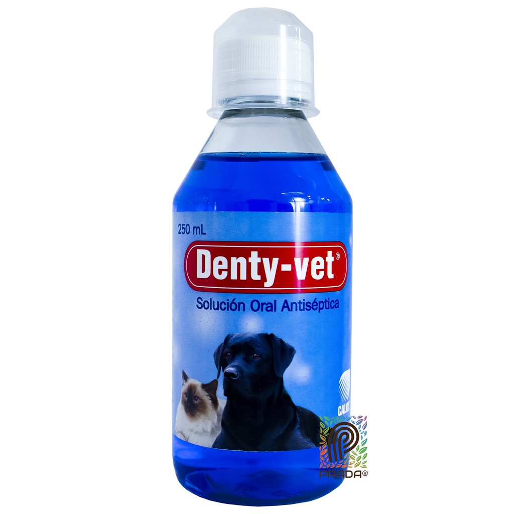 DENTY VET SLN X 250 ML