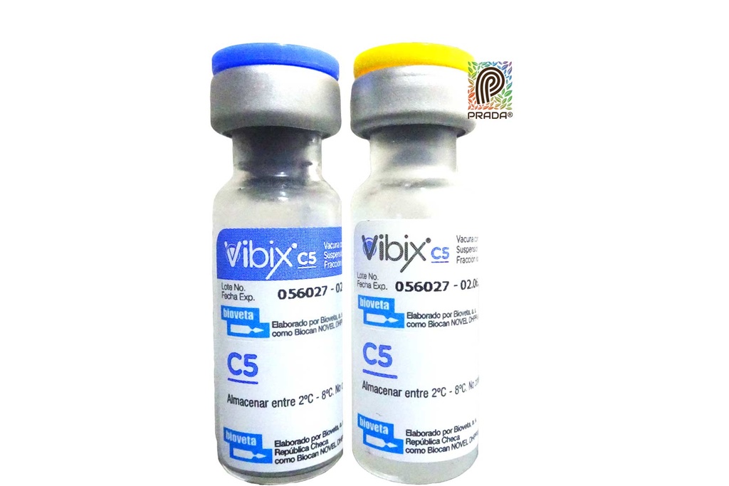VACUNA VIBIX C5 (QUINTUPLE)