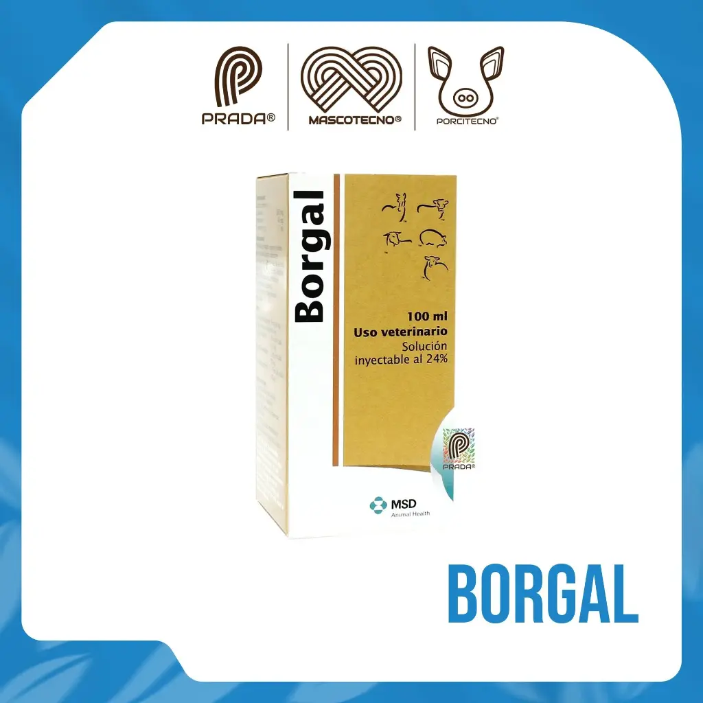BORGAL INY X 100 ML